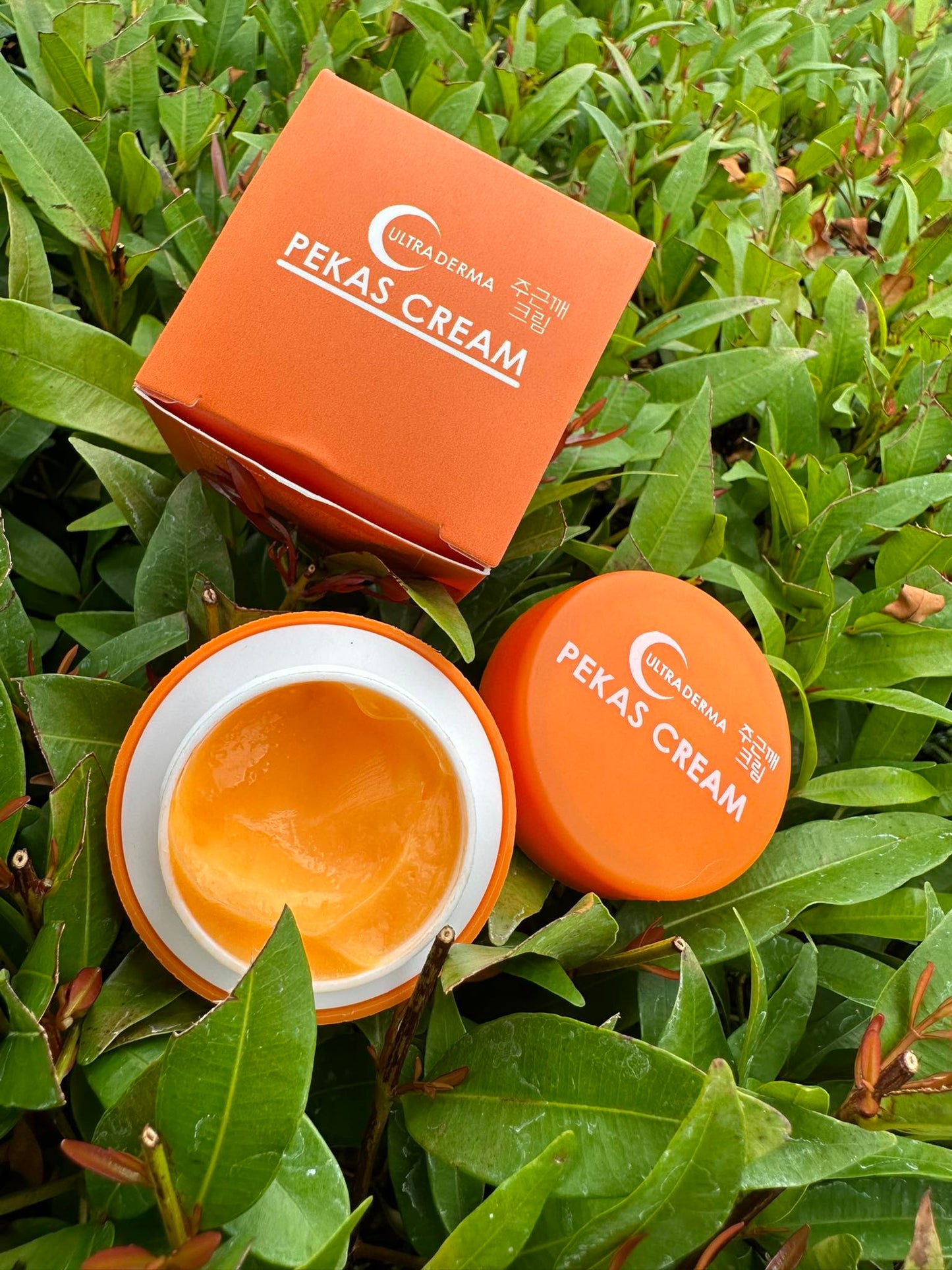 Ultra Derma Pekas Cream