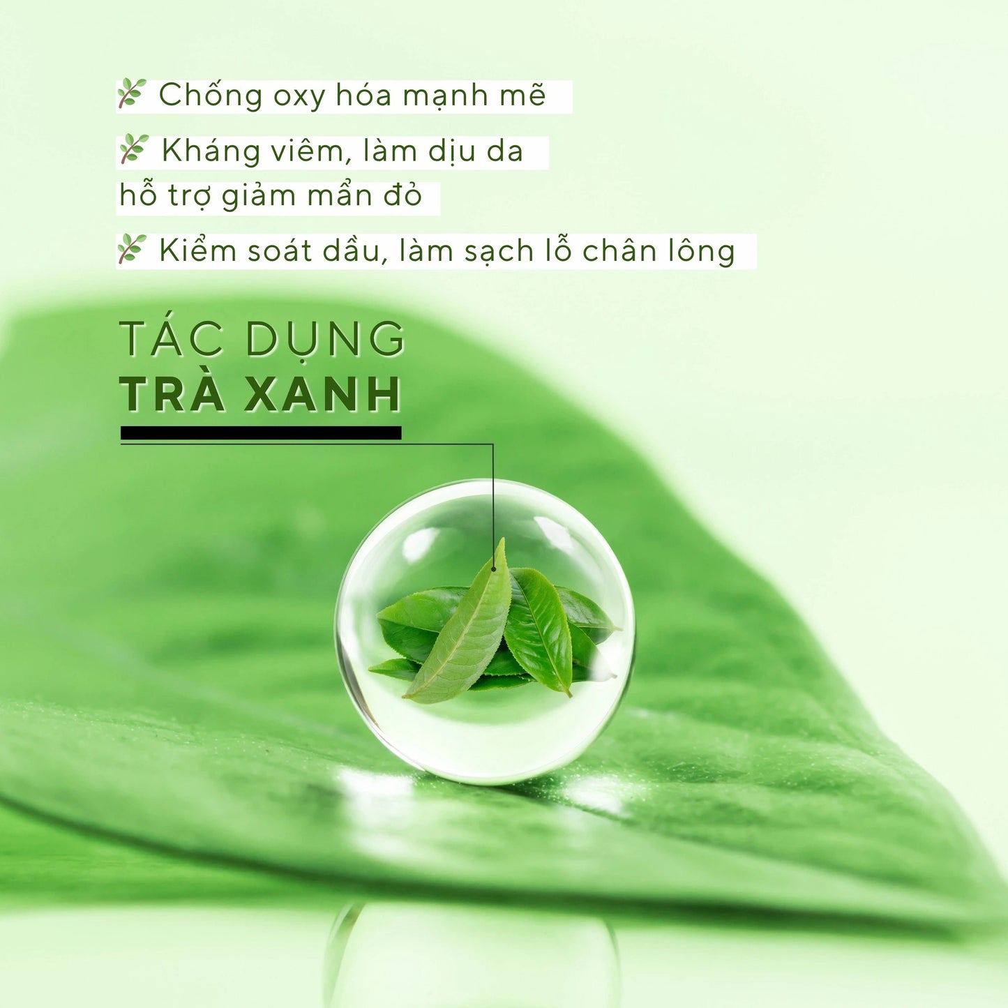 Dabo Green Tea Face Wash